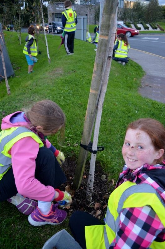 greystones-tidy-towns-scouts-10oct16-2