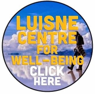 https://www.greystonesguide.ie/category/business-directory/body-soul/wellbeing/luisne/