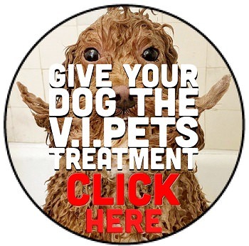 http://www.vipets.ie/