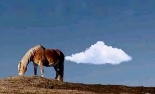 [Image: cloud-photography-horse-fart-timing.jpg]
