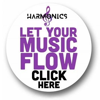 https://www.greystonesguide.ie/let-your-music-flow/