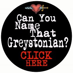 https://www.greystonesguide.ie/bringing-greystones-to-book/