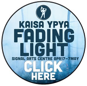 https://signalartscentre.ie/exhibitions/kaisa-ypya-fading-light/