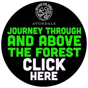 https://booking.beyondthetreesavondale.com/Home
