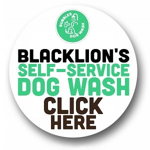 https://bubblesdoggwash.com/