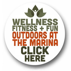 https://www.thewellnesshubireland.com/