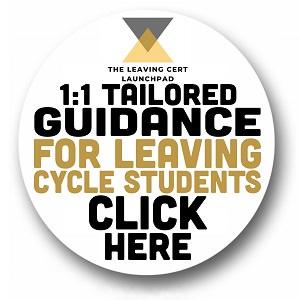 https://theleavingcertlaunchpad.com/