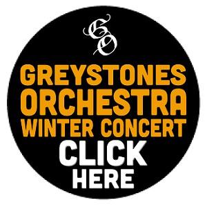 https://www.eventbrite.ie/e/greystones-orchestra-winter-concert-tickets-1977821859423