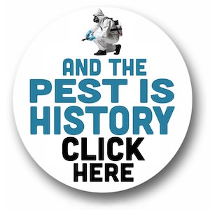 https://www.advancedpestsolutions.ie/