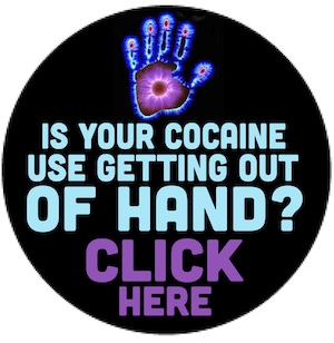 https://lisagrogancoaching.com/