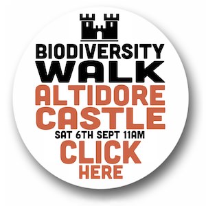https://www.tickettailor.com/events/altidorecastle/1833478