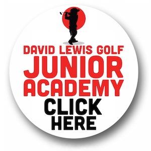 https://www.activity-time.com/provider/david-lewis-golf/68b74414-1e9f-483d-ac4a-9c9938fa5a01?