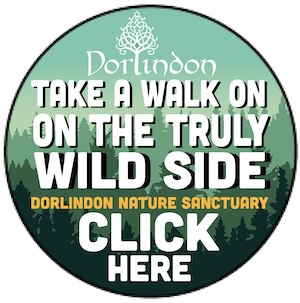 https://www.dorlindon.com/en/index.php