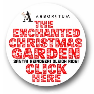 https://www.arboretum.ie/shop/customer-events/groupid/7331/day/29/month/11/year/2025.html
