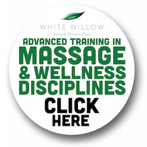 https://whitewillow.ie/academy/