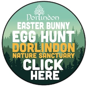 https://www.dorlindon.com/en/online-market/activities/0332.php