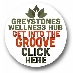https://www.thewellnesshubireland.com/