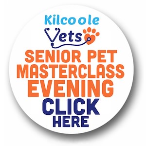 https://www.kilcoolevets.ie/