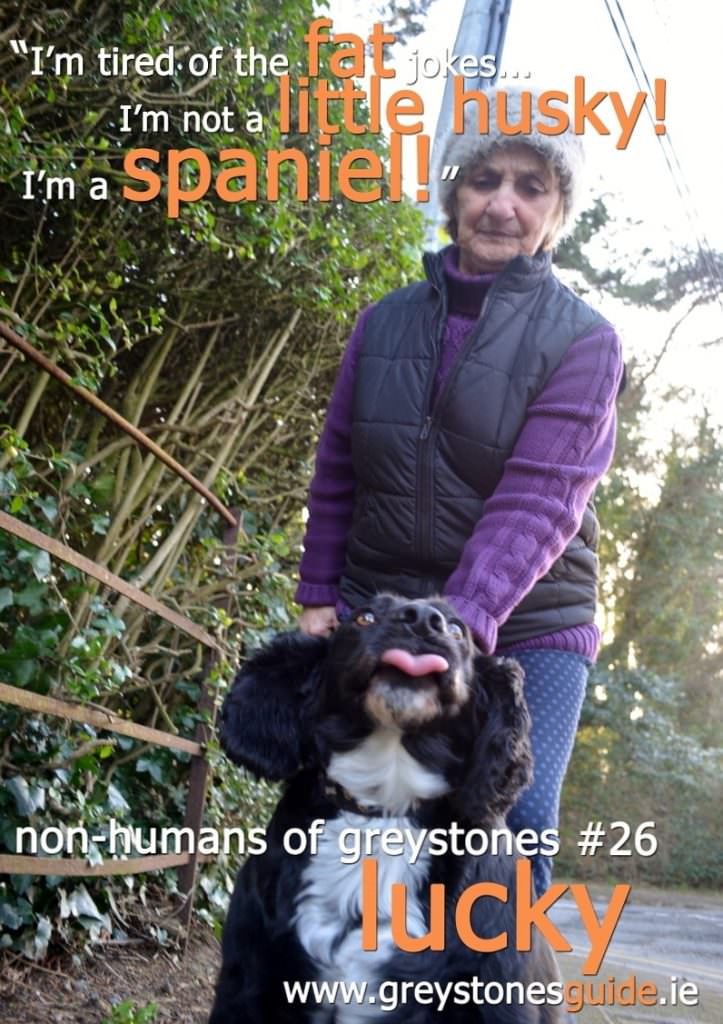 Non-Humans Of Greystones LUCKY 21st Feb 2016 - Better